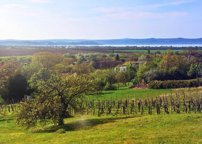 Dom wakacyjny Jodi-hegy